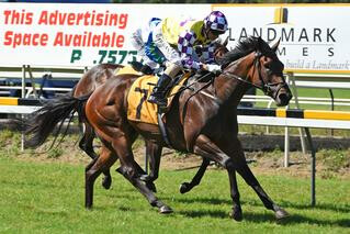 Sacred Rhythm (NZ) the Latest Stakes-Winning Karaka Graduate. Photo: Race Images, Palmerston North.